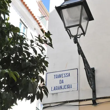 Daire Spacious & Bright 3 Bedroom Apt, Iconic Bica Area, Historical Center *
